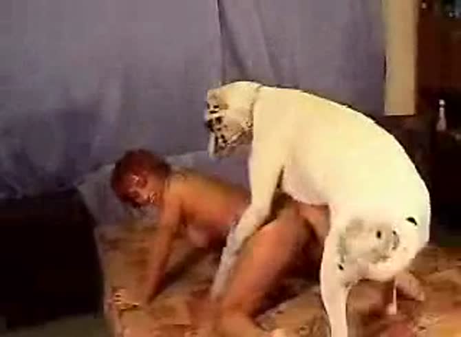 Video :Dog porno with sexy girl until animal orgasm